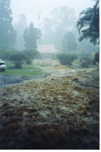 Another Storm, November 2000, photo by Michael Schwabe