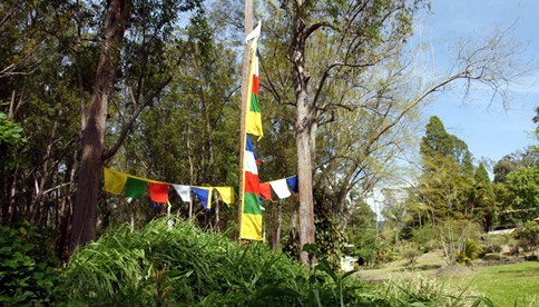 Prayer Flags at Nechung Temple in Wood Valley