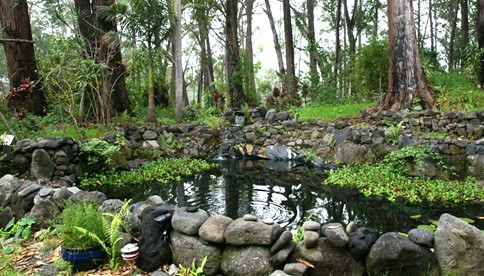 Pond at Nechung Temple